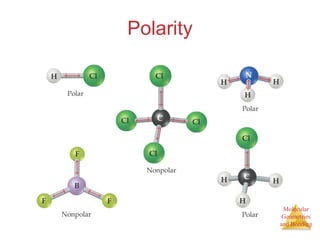 Polarity 