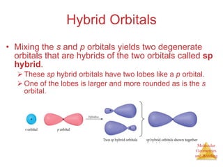 Hybrid Orbitals Mixing the  s  and  p  orbitals yields two degenerate orbitals that are hybrids of the two orbitals called  sp hybrid . These  sp  hybrid orbitals have two lobes like a  p  orbital. One of the lobes is larger and more rounded as is the  s  orbital. 
