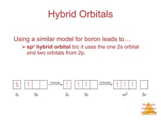 Hybrid Orbitals Using a similar model for boron leads to… sp 2  hybrid orbital  b/c it uses the one 2s orbital and two orbitals from 2p. 