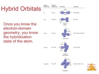 Hybrid Orbitals Once you know the electron-domain geometry, you know the hybridization state of the atom. 