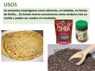 USOS 
As sementes empréganse como alimento, en bebidas, en forma 
de fariña... Os brotes tenros consúmense como verdura crúa ou 
cocida e poden ser usados en ensaladas. 
 