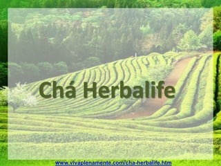 Chá Herbalife

 www.vivaplenamente.com/cha-herbalife.htm
 