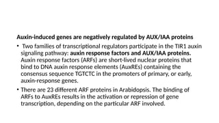 Comprehensive Overview of Plant Hormones and Auxin Mechanisms in Plant ...