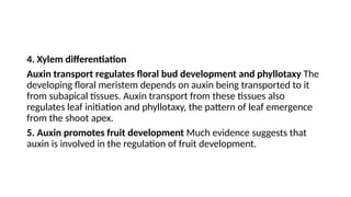 Comprehensive Overview of Plant Hormones and Auxin Mechanisms in Plant ...