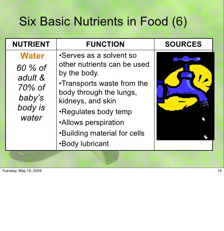 10 Six Basic Nutrients In Food 10 Six Basic Nutrients In Food