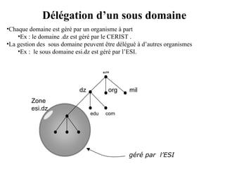 Délégation d’un sous domaine
géré par l’ESI
“”
dz org mil
edu com
Zone
esi.dz
•Chaque domaine est géré par un organisme à part
•Ex : le domaine .dz est géré par le CERIST .
•La gestion des sous domaine peuvent être délégué à d’autres organismes
•Ex : le sous domaine esi.dz est géré par l’ESI.
 