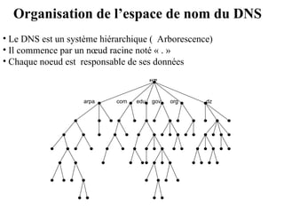 Organisation de l’espace de nom du DNS
“”
arpa com edu gov org dz
• Le DNS est un système hiérarchique ( Arborescence)
• Il commence par un nœud racine noté « . »
• Chaque noeud est responsable de ses données
 