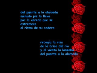 del puente a la alameda menudo pie la lleva por la vereda que se estremece al ritmo de su cadera recogía la risa de la brisa del río y al viento la lanzaba del puente a la alameda 