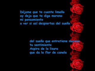 Déjame que te cuente limeño ay deja que te diga moreno mi pensamiento a ver si así despiertas del sueño del sueño que entretiene moreno tu sentimiento Aspira de la lisura que da la flor de canela 