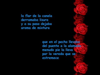 la flor de la canela derramaba lisura y a su paso dejaba aroma de mixtura que en el pecho llevaba del puente a la alameda menudo pie la lleva por la vereda que se estremece 