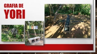 GRAFIA DE
YORI
 