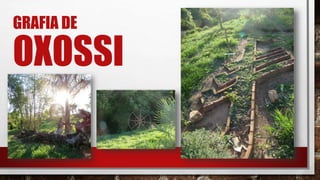GRAFIA DE
OXOSSI
 