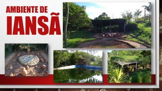 AMBIENTE DE
IANSÃ
 
