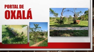 PORTAL DE
OXALÁ
 