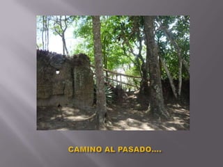 CAMINO AL PASADO….