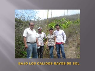 BAJO LOS CALIDOS RAYOS DE SOL