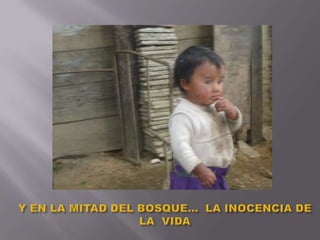 Y EN LA MITAD DEL BOSQUE…  LA INOCENCIA DE LA  VIDA