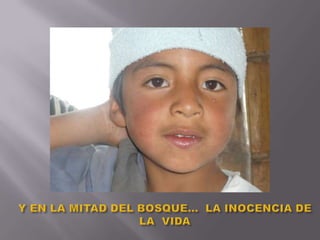 Y EN LA MITAD DEL BOSQUE…  LA INOCENCIA DE LA  VIDA