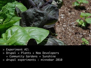 Flickr creative commons: kthread




> Experiment #2:
> Drupal + Plants + New Developers
  + Community Gardens + Sunshine
> drupal experiments : minnebar 2010
 
