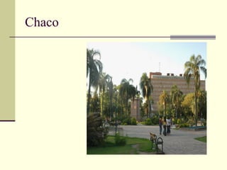 Chaco
 