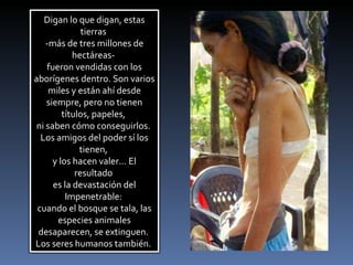 Digan lo que digan, estas tierras  -más de tres millones de hectáreas-  fueron vendidas con los aborígenes dentro. Son varios miles y están ahí desde siempre, pero no tienen títulos, papeles,  ni saben cómo conseguirlos.  Los amigos del poder sí los tienen,  y los hacen valer... El resultado  es la devastación del Impenetrable:  cuando el bosque se tala, las especies animales desaparecen, se extinguen.  Los seres humanos también.  