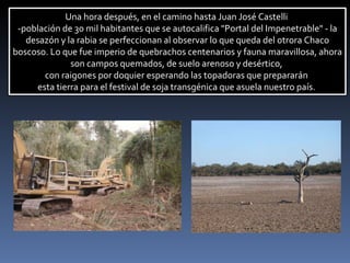 Una hora después, en el camino hasta Juan José Castelli  -población de 30 mil habitantes que se autocalifica "Portal del Impenetrable" - la desazón y la rabia se perfeccionan al observar lo que queda del otrora Chaco boscoso. Lo que fue imperio de quebrachos centenarios y fauna maravillosa, ahora son campos quemados, de suelo arenoso y desértico,  con raigones por doquier esperando las topadoras que prepararán  esta tierra para el festival de soja transgénica que asuela nuestro país.  