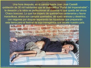 Una hora después, en el camino hasta Juan José Castelli  -población de 30 mil habitantes que se autocalifica "Portal del Impenetrable" - la desazón y la rabia se perfeccionan al observar lo que queda del otrora Chaco boscoso. Lo que fue imperio de quebrachos centenarios y fauna maravillosa, ahora son campos quemados, de suelo arenoso y desértico,  con raigones por doquier esperando las topadoras que prepararán  esta tierra para el festival de soja transgénica que asuela nuestro país.  