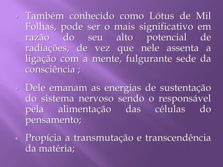  Também conhecido como Lótus de Mil
Folhas, pode ser o mais significativo em
razão do seu alto potencial de
radiações, de vez que nele assenta a
ligação com a mente, fulgurante sede da
consciência ;
 Dele emanam as energias de sustentação
do sistema nervoso sendo o responsável
pela alimentação das células do
pensamento;
 Propícia a transmutação e transcendência
da matéria;
 