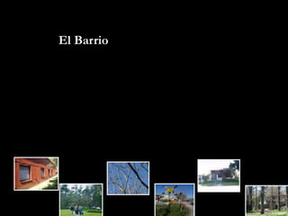 El Barrio 