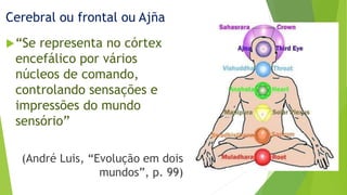 Cerebral ou frontal ou Ajña
“Se representa no córtex
encefálico por vários
núcleos de comando,
controlando sensações e
impressões do mundo
sensório”
(André Luis, “Evolução em dois
mundos”, p. 99)
 