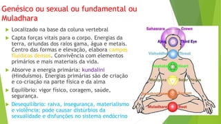 Genésico ou sexual ou fundamental ou
Muladhara
 Localizado na base da coluna vertebral
 Capta forças vitais para o corpo. Energias da
terra, oriundas dos raios gama, água e metais.
Centro das formas e elevação, elabora campos
fluidicos densos. Convivência com elementos
primários e mais materiais da vida.
 Absorve a energia primária: kundalini
(Hinduísmo). Energias primárias são de criação
e co-criação na parte física e da alma
 Equilíbrio: vigor físico, coragem, saúde,
segurança.
 Desequilíbrio: raiva, insegurança, materialismo
e violência; pode causar distúrbios da
sexualidade e disfunções no sistema endócrino
 