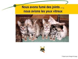 Nous avons fumé des joints …, nous avions les yeux vitreux Cliquez pour changer de page 