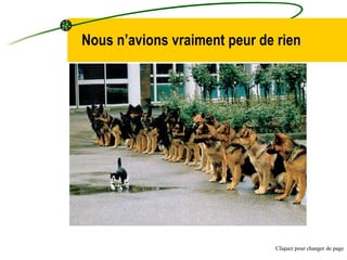 Nous n’avions vraiment peur de rien Cliquez pour changer de page 