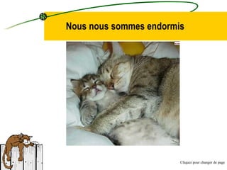 Nous nous sommes endormis Cliquez pour changer de page 