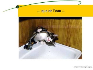 …  que de l’eau … Cliquez pour changer de page 
