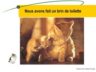 Nous avons fait un brin de toilette Cliquez pour changer de page 