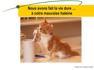 Nous avons fait la vie dure … à notre mauvaise haleine Cliquez pour changer de page 