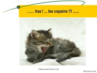 ……  haa  !  ... les copains  !!!  ......   Cliquez pour fermer le site MPP 2003 by K@P 