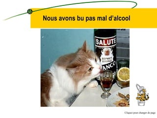 Nous avons bu pas mal d’alcool Cliquez pour changer de page 