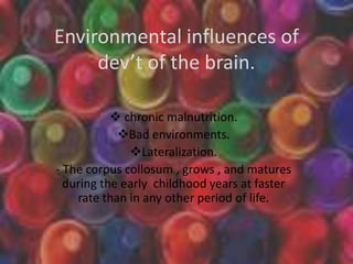 Environmental influences of
     dev’t of the brain.

            chronic malnutrition.
            Bad environments.
              Lateralization.
- The corpus collosum , grows , and matures
  during the early childhood years at faster
    rate than in any other period of life.
 