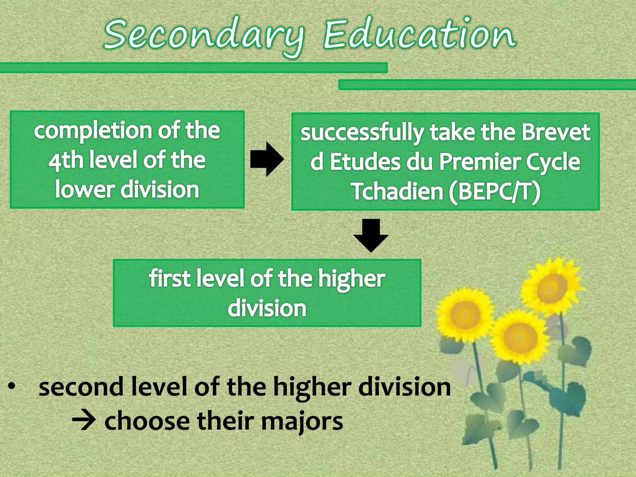 • second level of the higher division 
 choose their majors 
 