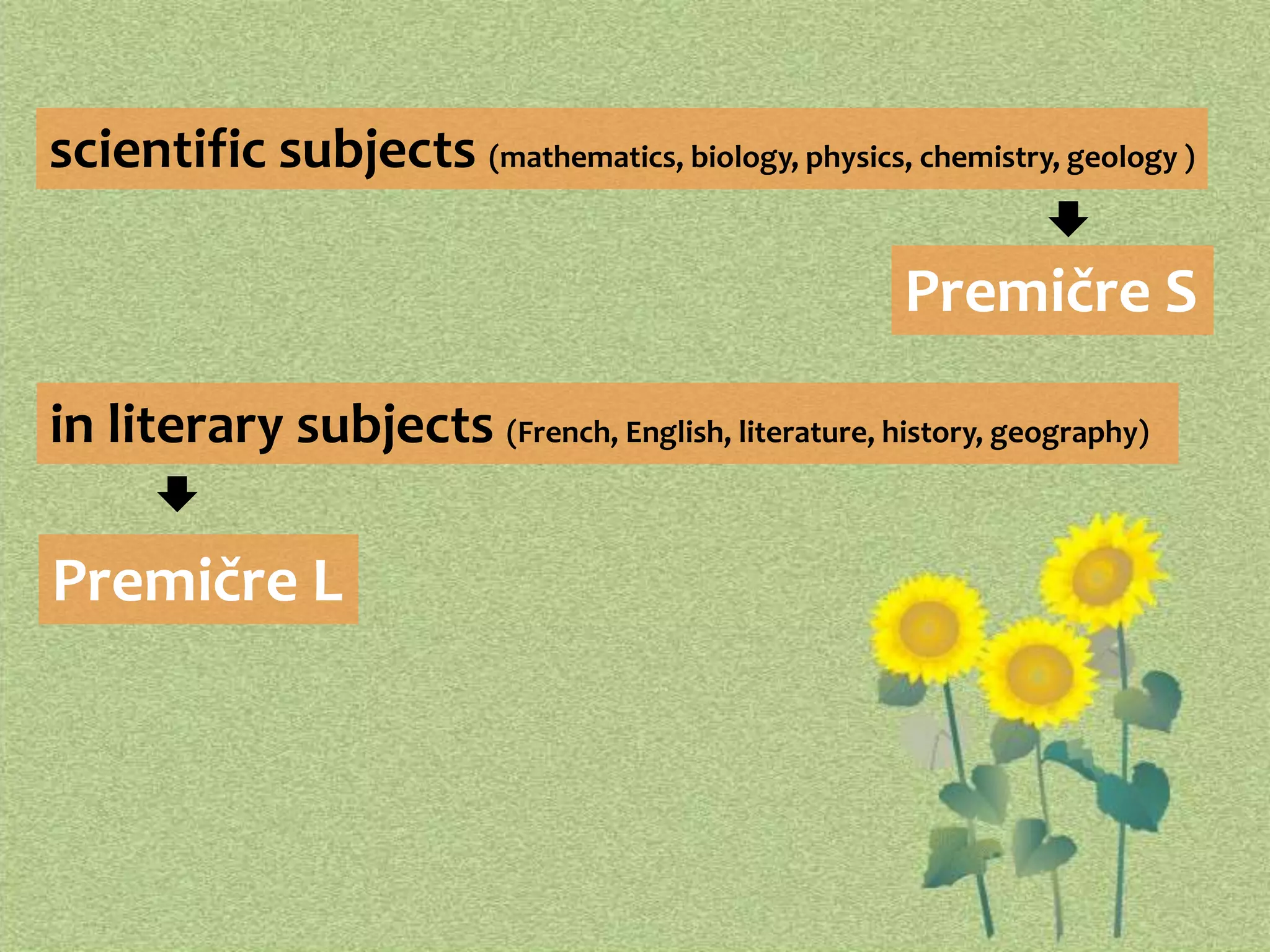 scientific subjects (mathematics, biology, physics, chemistry, geology ) 
Premičre S 
in literary subjects (French, English, literature, history, geography) 
Premičre L 
 