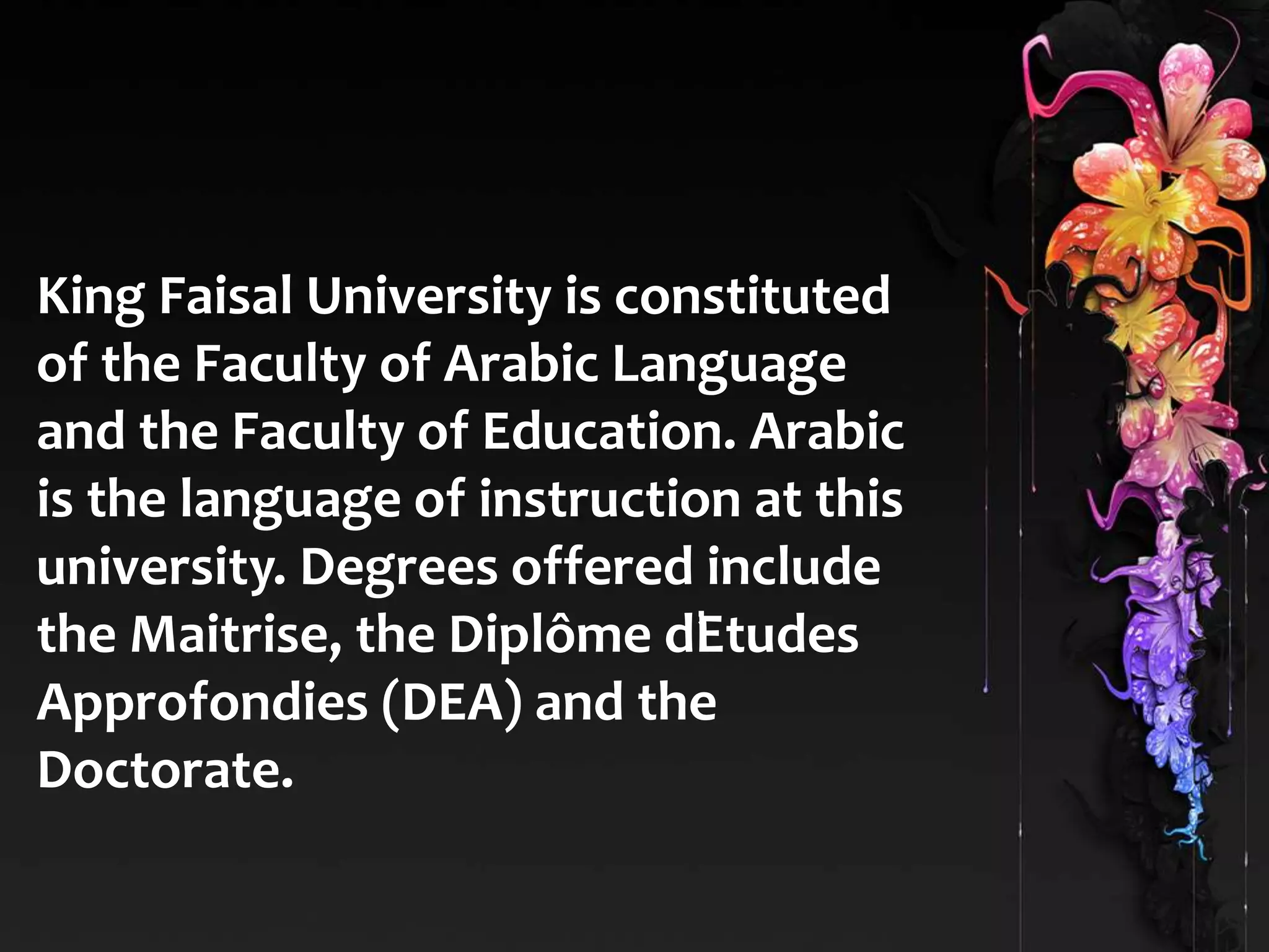 King Faisal University is constituted 
of the Faculty of Arabic Language 
and the Faculty of Education. Arabic 
is the language of instruction at this 
university. Degrees offered include 
the Maitrise, the Diplôme d’Etudes 
Approfondies (DEA) and the 
Doctorate. 
