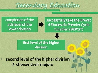 • second level of the higher division 
 choose their majors 
 