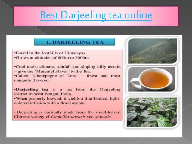 95 best india earl images