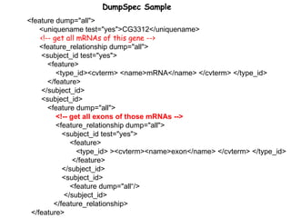 <feature dump="all"> <uniquename test="yes">CG3312</uniquename> <!-- get all mRNAs of this gene --> <feature_relationship dump="all"> <subject_id test="yes"> <feature> <type_id><cvterm> <name>mRNA</name> </cvterm> </type_id> </feature> </subject_id> <subject_id> <feature dump="all">  <!-- get all exons of those mRNAs -->   <feature_relationship dump="all"> <subject_id test="yes"> <feature> <type_id> ><cvterm><name>exon</name> </cvterm> </type_id> </feature> </subject_id> <subject_id> <feature dump="all“/>  </subject_id> </feature_relationship> </feature> DumpSpec Sample 