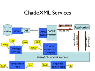 ChadoXML Services XML:: XORT Application XORT interface chado query params chado xml driver DBI ChadoXML services interface Format converters, dumpers chado xml query params chado xml other xml XSLT sequence domain logic C Perl Ontology services Java XQuery Lisp Prolog companalysis logic Java Perl 
