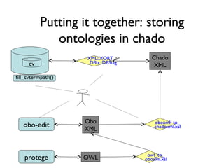 Putting it together: storing ontologies in chado Chado XML XML::XORT   or DBIx::DBStag oboxml_to_ chadoxml.xsl obo-edit Obo XML cv fill_cvtermpath() owl_to_ oboxml.xsl protege OWL 