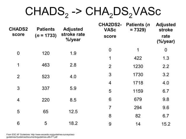 Chads2 | PPT