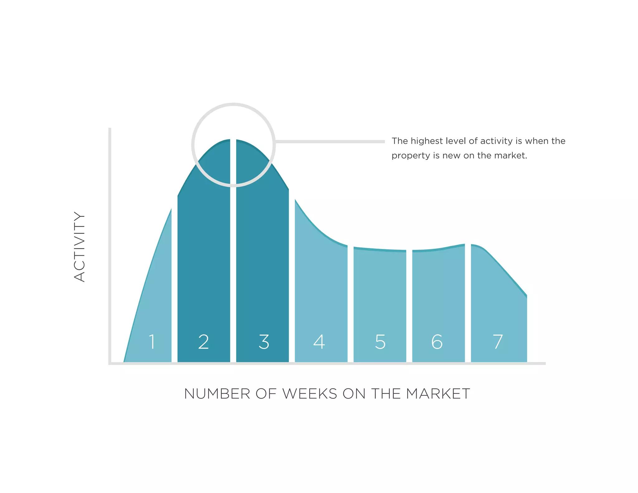 The highest level of activity is when the
property is new on the market.
NUMBER OF WEEKS ON THE MARKET
ACTIVITY
1 2 3 4 5 6 7
 